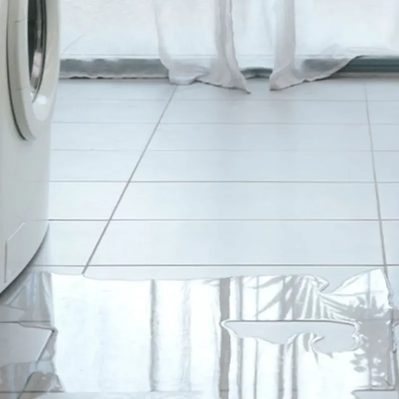 Appliance Leak Cleanup in Wesley Chapel, FL