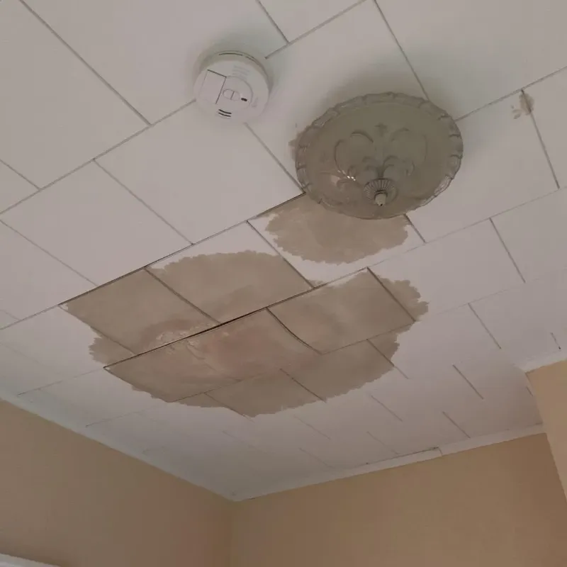 Ceiling Water Damage Repair in Wesley Chapel, FL